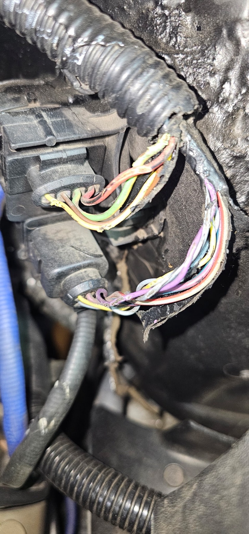Detailed repair work at Sterling Autosport